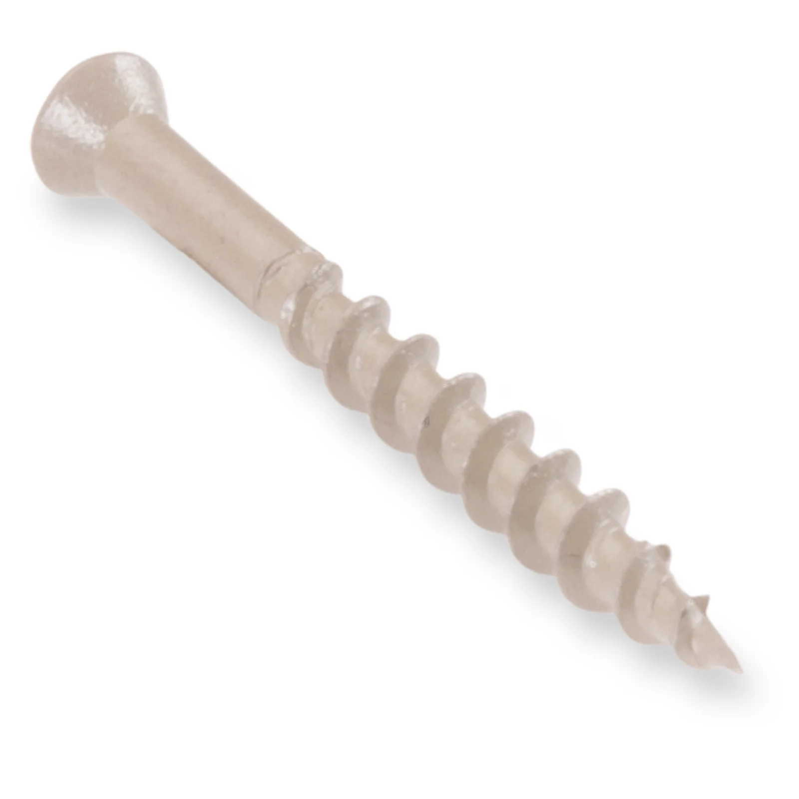 Stainless Steel Screws - Image 3